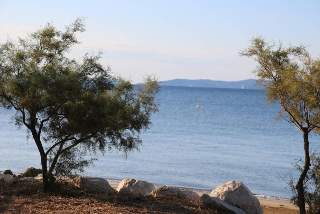 Appartamento T2, climatisé, piscines, près de la mer La Londe-les-Maures Esterno foto